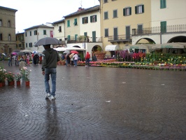 Greve in Chianti71